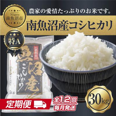 ふるさと納税 南魚沼市 【毎月定期便】南魚沼産 コシヒカリ 精米 30kg(美味しい炊き方ガイド付)全12回
