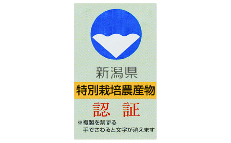 新米 新潟県認証特別栽培米 コシヒカリ 3kg(1×3袋）[しただ米] 新潟県産コシヒカリ 特別栽培米 令和6年産 こしひかり 真空パック 三条市【010S658】