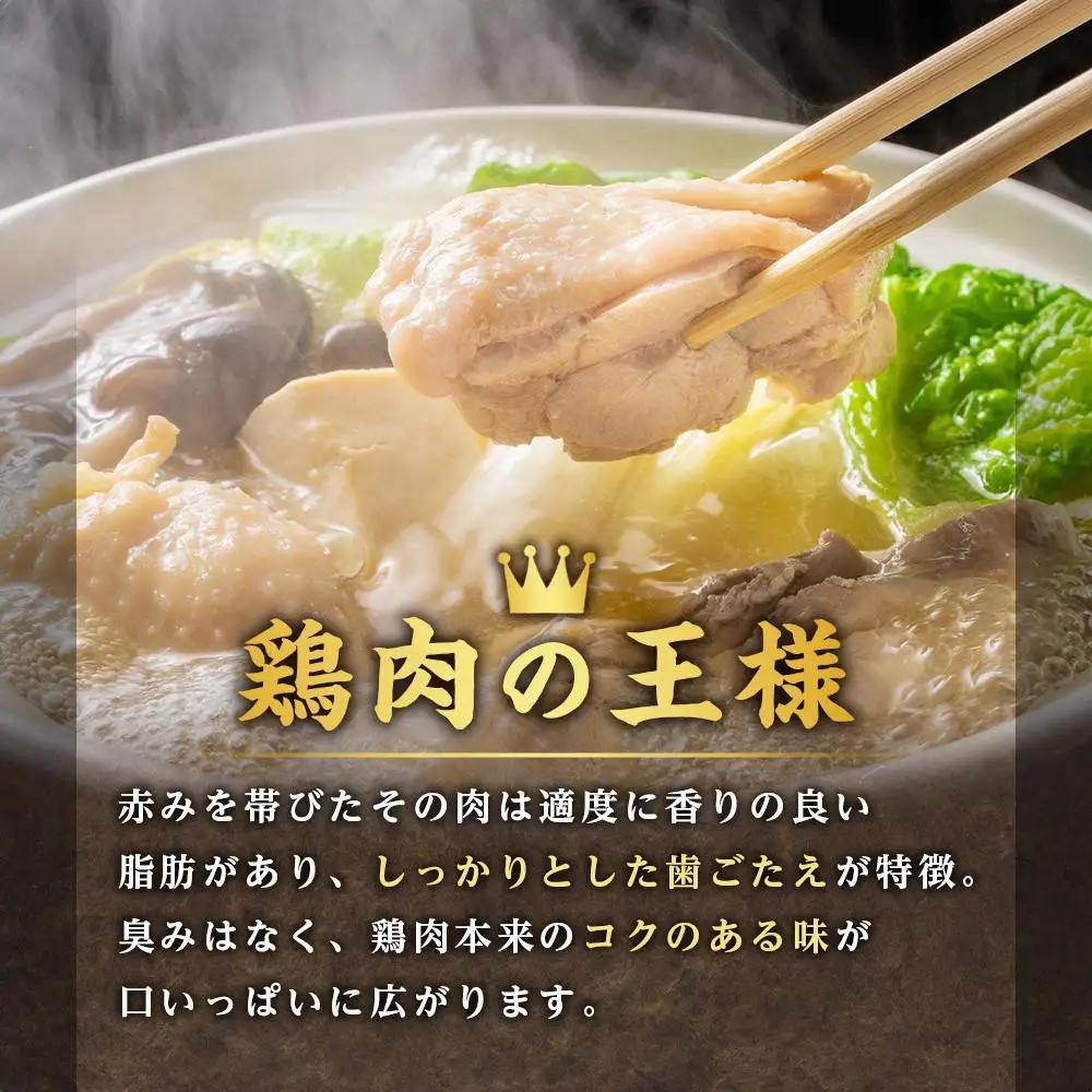 純系名古屋コーチン　豪華鶏肉セット 地鶏