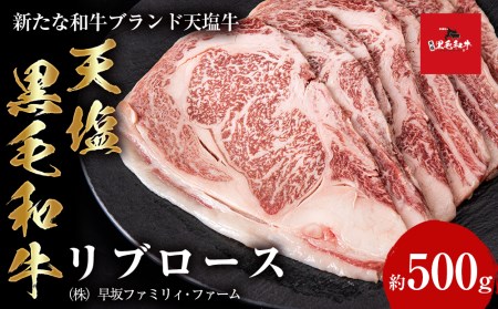 黒毛和牛 天塩和牛 すき焼き・焼肉 用 リブロース (約500g) ＜早坂ファーム＞肉 焼肉 すき焼き 牛肉 ステーキ 北海道産 国産