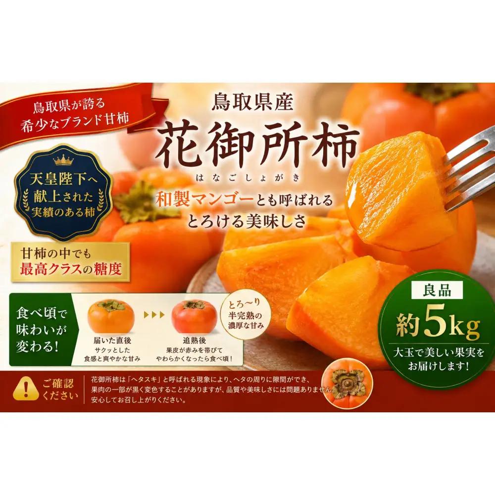 【先行予約】【鳥取市産・良品】花御所柿 約5kg｜甘柿最高クラスの糖度 追熟でとろける食感 和製マンゴーとも称される希少ブランド柿