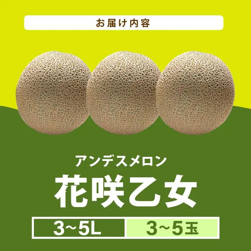 【先行予約】アンデスメロン 花咲乙女 3～5玉入 3～5L 《甘くまろやか！青肉で果汁たっぷり》／ 期間限定 果物 フルーツ 産地直送 ※2027年6月下旬より順次発送 [aw003-a008]