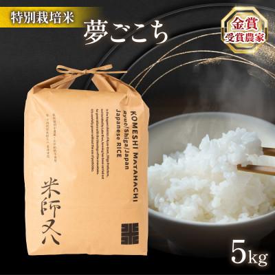 ふるさと納税 竜王町 令和7年  夢ごこち 5kg 金賞受賞農家 若井農園 WN009_R7