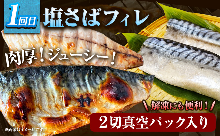 【定期便 全3回】 G サバフィレ 8枚 銀鮭切身 8枚 魚切り身詰合せ 8枚 株式会社魚鶴商店《お申し込み月の翌月より出荷開始》 和歌山県 日高町 鮭 さけ 紅さけ 切り身 さば 塩さば 焼き魚 焼