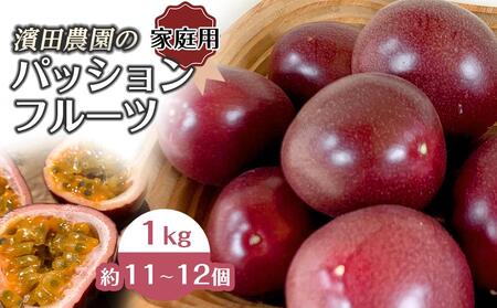 先行予約 ☆ 濱田農園 パッションフルーツ ☆ 1kg 家庭用 | 鹿児島県産 パッションフルーツ 南国フルーツ パッションフルーツ