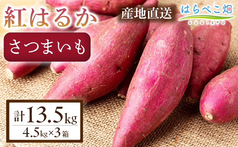【ねっとり甘い蜜芋】さつまいも 紅はるか（4.5kg×3箱）合計13.5kg・H104