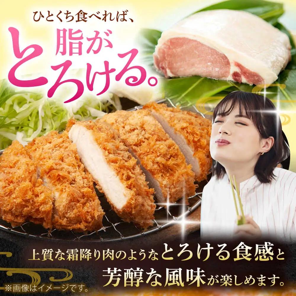 沖縄県産 豚肉 ロースブロック約1.8kg(900g×2パック) BCAJ005