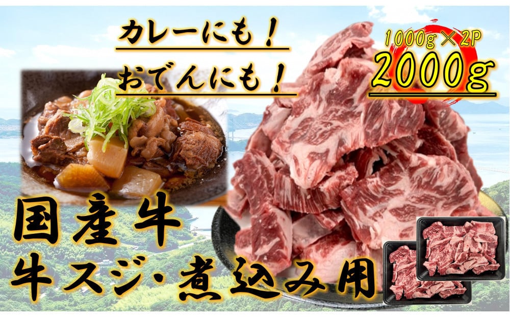 
            国産牛　スジ　2kg
          