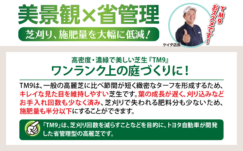 TM9（ティーエムナイン）省管理型コウライシバ トヨタ自動車(株)開発品種 10平米　KN080-007-03