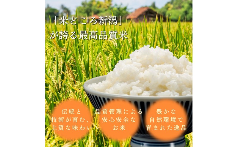 【令和8年11月配送】令和8年産 新潟県上越市産 コシヒカリ 5