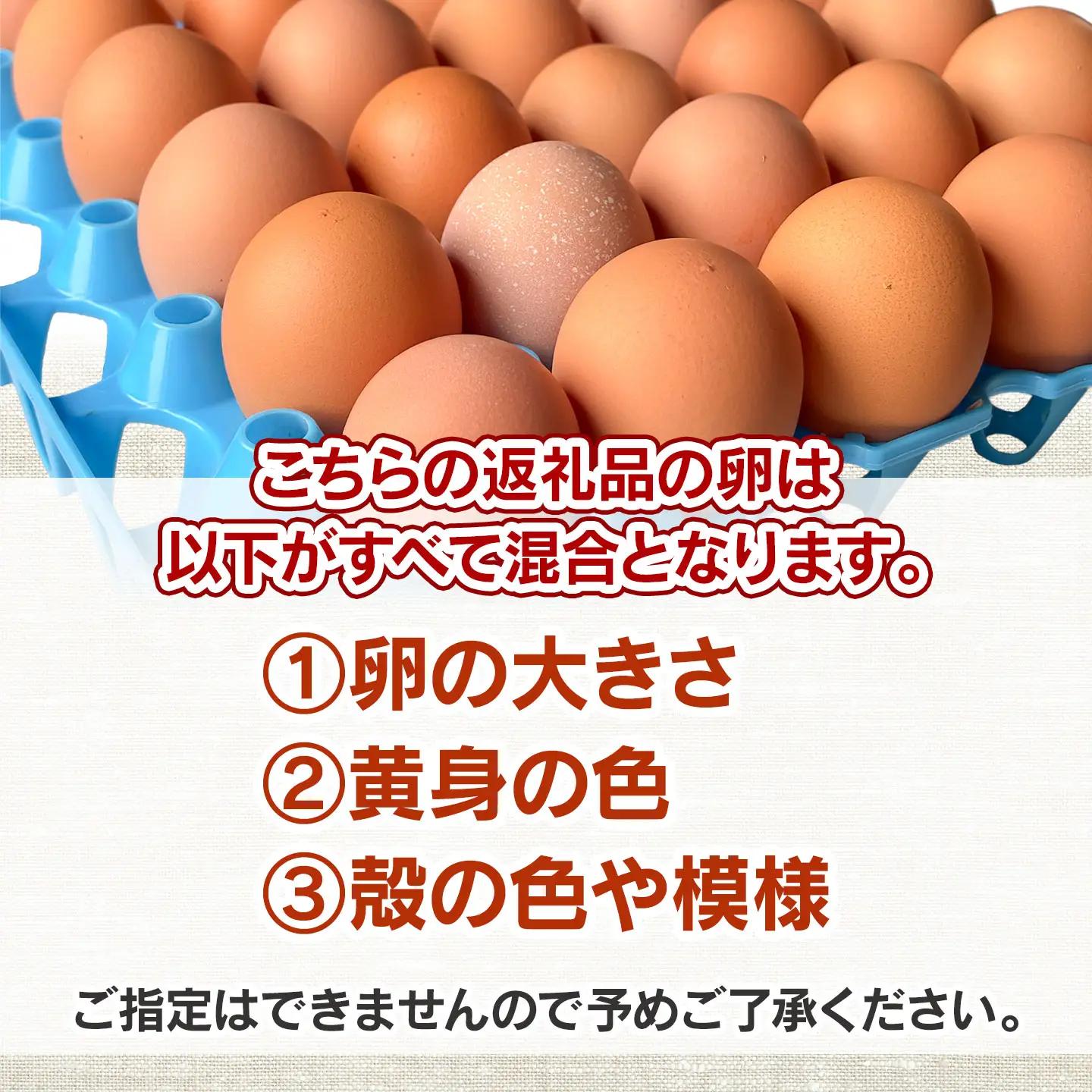 純国産鶏あずさの平飼い卵 40個 (フリーサイズ) 山形県鶴岡市 おーぼ | 卵 たまご タマゴ 玉子 鶏卵 平飼い卵 自然卵 生卵 卵かけご飯 たまごかけご飯 卵かけごはん たまごかけご飯 卵料理 