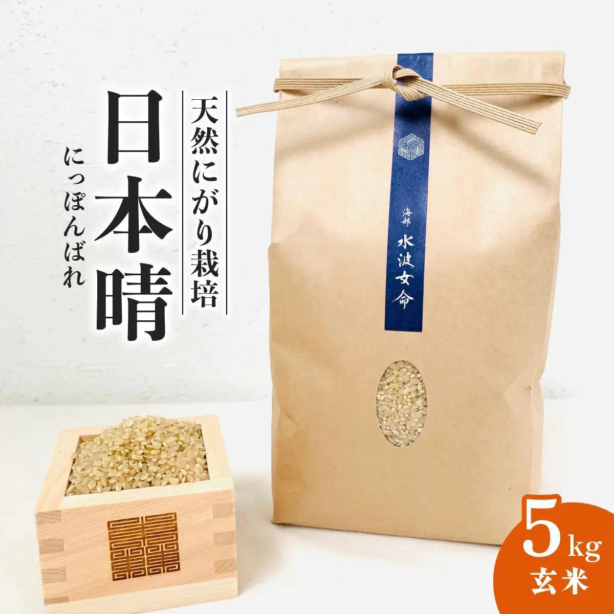 日本晴 玄米 5kg 天然にがり栽培 にっぽんばれ 希少 品種 お寿司 ピラフ チャーハン 焼飯