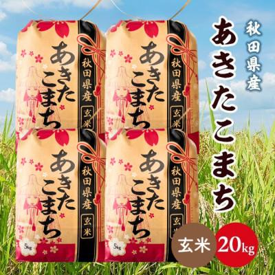 ふるさと納税 潟上市 【毎月定期便】秋田県産あきたこまち 20kg(5kg×4袋)(玄米)　全12回
