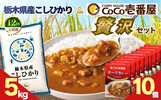 【定期便12回】ココイチ ポークカレー10個 &コシヒカリ5kgの贅沢セット