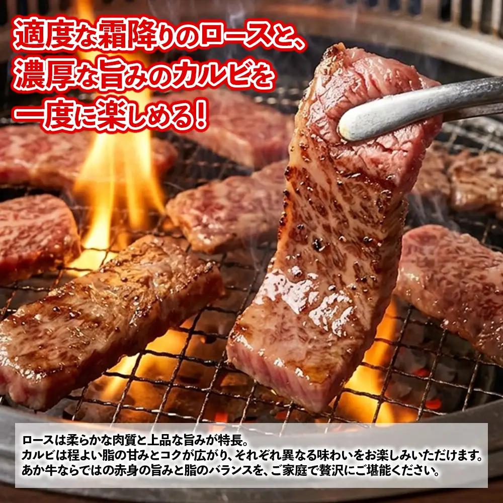 熊本和牛 あか牛 焼肉食べ比べ 500g (ロース250g + カルビ250g)