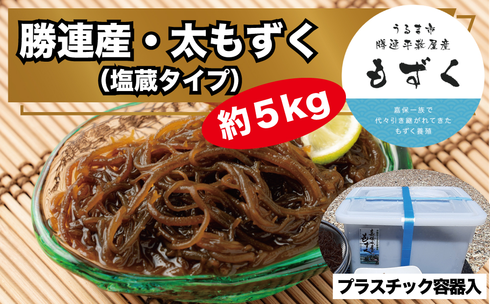【嘉保水産】勝連産・太もずく（塩蔵タイプ）約5kg　プラスチック容器入り