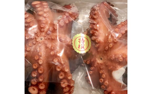 H22-176.竹中水産の定期便２回！「浜茹で地蛸・２㎏ＵＰ（×２回）」