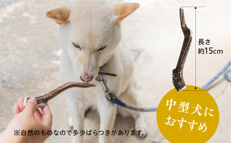 鹿肉ジャーキー1パック（犬用 猫用） 鹿角歯みがき（中型犬用）15cm 1本セット 犬用 猫用 ペット用品 ペットジャーキー 無添加 国産 鹿肉 野生 自然 [mt1803] 9000円