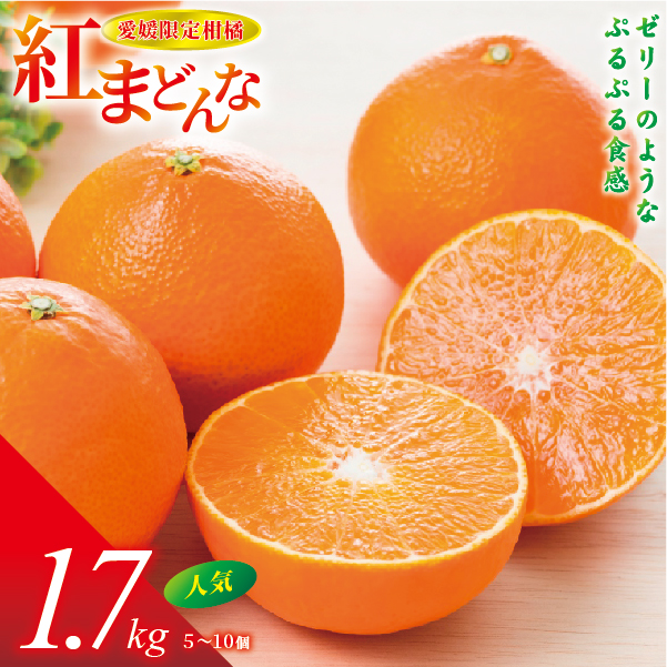 【2026年先行予約】紅まどんな 1.7kg (5～10個) 愛媛みかん 愛果28号 化粧箱入り 【11月下旬より順次発送予定】 紅マドンナ まどんな マドンナ みかん ミカン 蜜柑 果物 くだもの フルーツ 柑橘 かんきつ 柑橘類 愛媛果試第28号 あいか ギフト 贈り物 贈答用 おすすめ 人気 お取り寄せ 国産 愛媛 伊予市｜B36