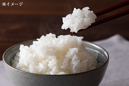 令和7年 富津産「ゆうだい21」10kg（精米）