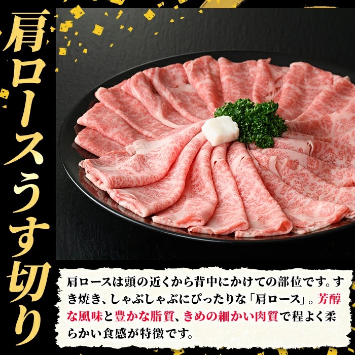 ≪毎月定期便・全10回≫A5等級 博多和牛肩ロースうす切り(総計10kg・500g×2P×10回) 牛肉 肉 国産 和牛 博多和牛 肩ロース カタロース うす切り スライス すき焼き すき焼 しゃぶし