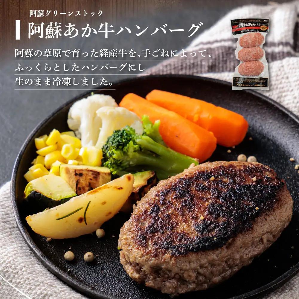 種類いろいろ！ハンバーグ セットver.2