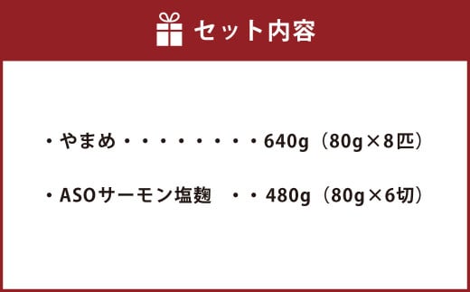 阿蘇から届く かわべの湧水やまめ 640g（内臓処理済8匹）と かわべのASOサーモン塩麹仕立て 480g（80g×6切）やまめ サーモン 熊本県 高森町