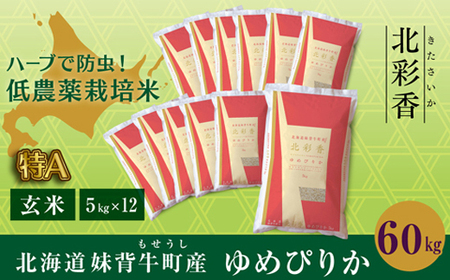 2026年2月発送 令和7年産 ゆめぴりか 玄米 60kg 一括発送 【北彩香】| 妹背牛産 北海道 米 道産 特A