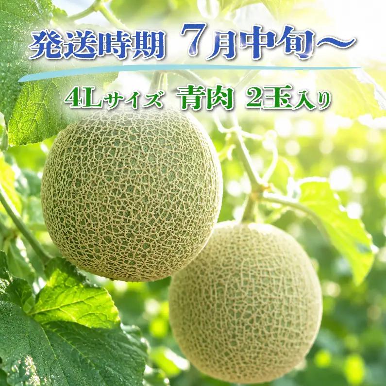 特選 メロン 青肉 4L 2玉 メロン メロン メロン メロン