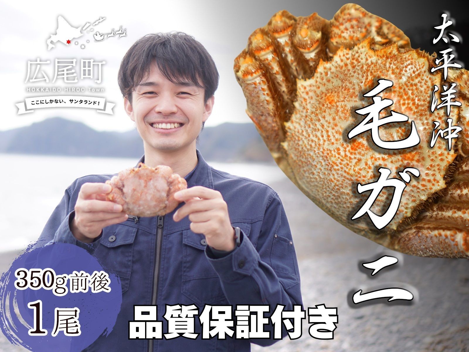 
                  ボイル毛ガニ　350g　１尾（茹で冷凍）【けがに　ケガニ　毛蟹　毛がに　カニ　太平洋　北海道　広尾町　冷凍　ボイル　海鮮　グルメ　広尾産業流通振興公社】(0102)
                