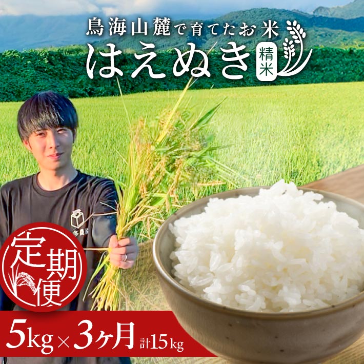 【ふるさと納税】≪3ヶ月定期便≫ はえぬき 5kg×3ヶ月連続 計15kg 精米 令和7年産米 山形県酒田産 ご希望期間の毎月下旬にお届け 東北 山形県 酒田市 庄内地方 庄内平野 米 お米 白米 ブランド米 ご飯 ごはん 農家直送 産地直送 本多農園
