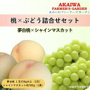 【ふるさと納税】桃 ぶどう 詰合せ 2024年 先行予約 おかやま 夢 白桃 2玉（1玉250g以上） シャイン マスカット 1房 約750g 岡山県 赤磐市産 フルーツ 果物 あかいわファーマーズガーデン　【赤磐市】　お届け：2024年7月下旬～2023年8月中旬