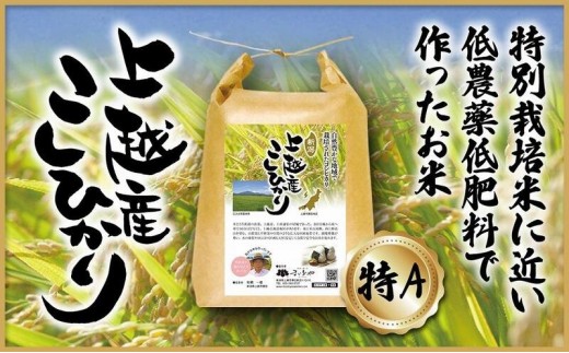 
                  米 上越産 こしひかり 5kg お米 コメ おこめ コシヒカリ 新潟 新潟県産 にいがた 上越 新潟の酒と米 まいどや
                