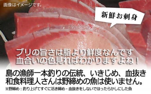 【年内発送】【お正月用】壱岐島産天然寒ブリ（9ｷﾛ台・丸もの） [JBS033]