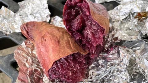 ふくむらさき 約5kg 【茨城県共通返礼品／行方市】2024年11月から発送開始 渋谷農園 さつまいも  いも 紫芋 芋 焼芋 [DT003sa]