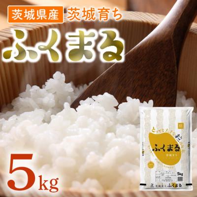 ふるさと納税 茨城町 【令和7年産】茨城県産米　茨城育ちふくまる　5kg