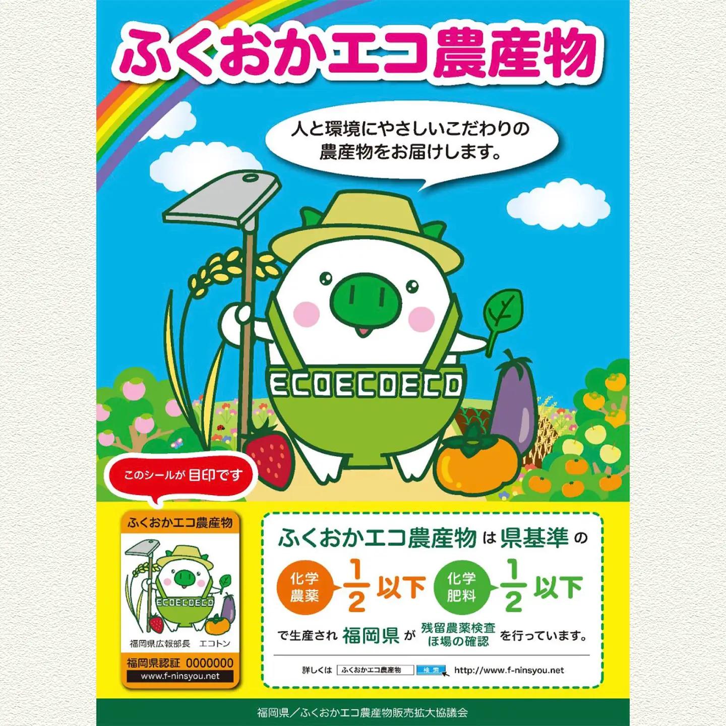 野田さんちのお米 元気つくし 10kg 広川町 / 広川いちご園[AFCO001]