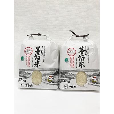 ふるさと納税 七尾市 【令和7年産】等伯米コシヒカリ10kg (5kg×2袋) |  | 03