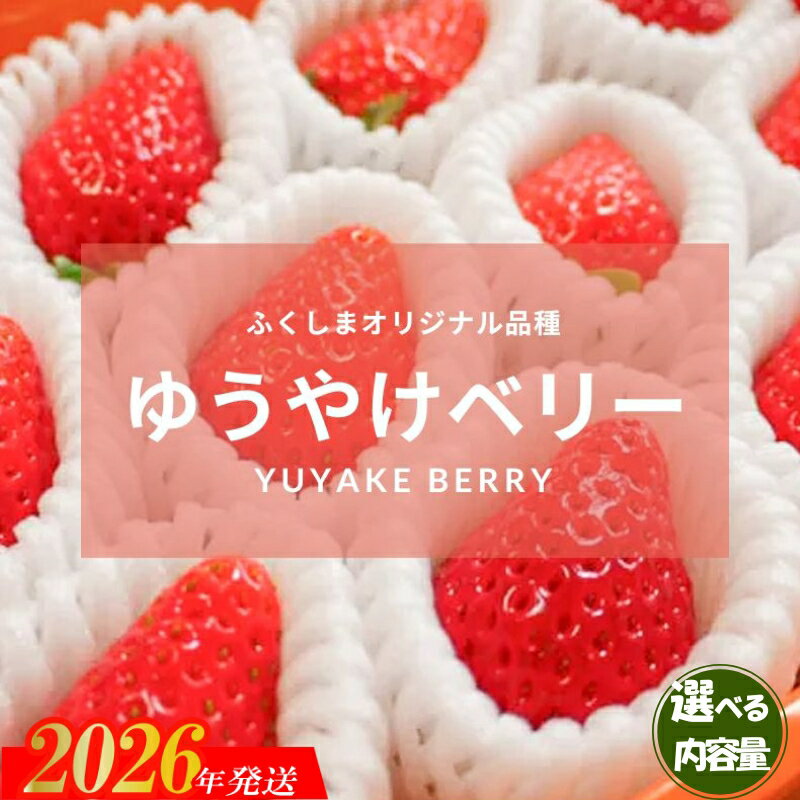 【ふるさと納税】福島市産 いちご　ゆうやけベリー 1箱12粒（約400g）【2026年1月下旬より発送】 選べる 内容量 数 2箱 24粒 約800g