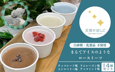 まるでアイスのようなロースイーツ 4種セット チョコレート ラムレーズン チョコミント ストロベリー ロースイーツ 冷凍 アイスクリーム 記念日 お祝い クリスマス ナチュラル ヘルシー ヴィーガン スイーツ ベジタリアン 有機 【天使のはしご】 / 岩手県 遠野市