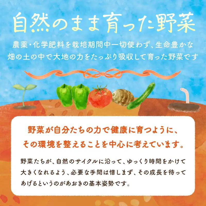 【4回定期便】春夏秋冬自然栽培野菜セット(年4回)4～5人用 野菜