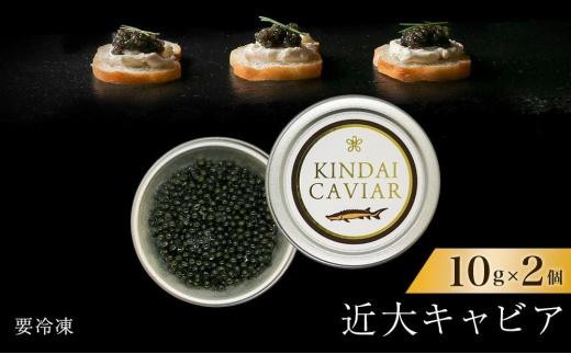 
            近大キャビア10ｇ×2個
          