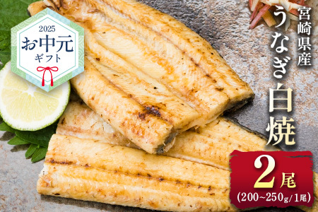お中元対応「玄人の一品」うなぎ 白焼き ギフト 2尾（200～250g/1尾あたり）宮崎県産鰻 蒲焼きタレ付（50ml×1本）配送日指定可 国産 有頭 熨斗 贈答品【N65-25】