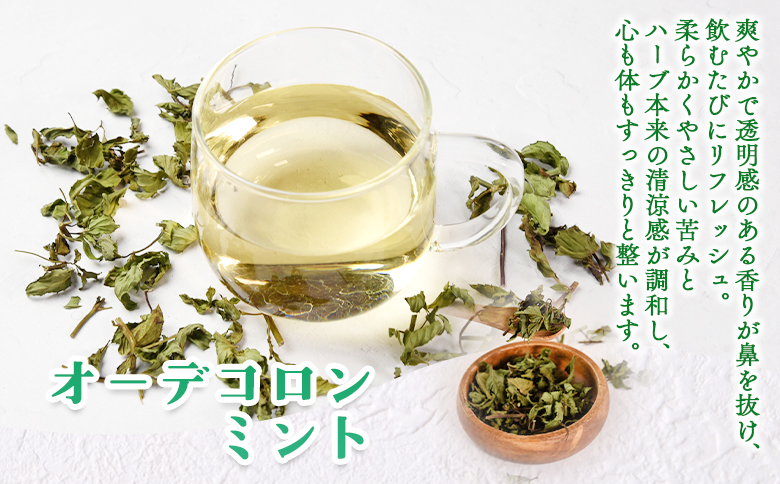 ＜ハーブティー ティーバッグ 1袋3個入（オーデコロンミント）＞国産 ドライ 乾燥させたハーブ 爽やか ほっとひと息 ハーブティードリンク リラックス 休憩 ノンカフェイン 持ち運びに便利 ぷちギフト