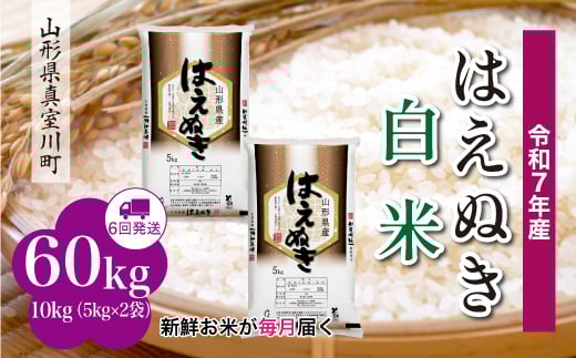 
            ＜令和7年産米＞ はえぬき 【白米】 定期便 60kg （10kg×1ヶ月間隔で6回お届け）＜配送時期指定可＞　山形県真室川町
          