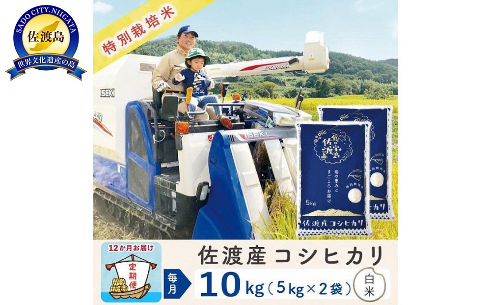 
            【新米予約 12か月定期便】佐渡島産コシヒカリ 白米10Kg 令和7年 特別栽培米 農家直送
          