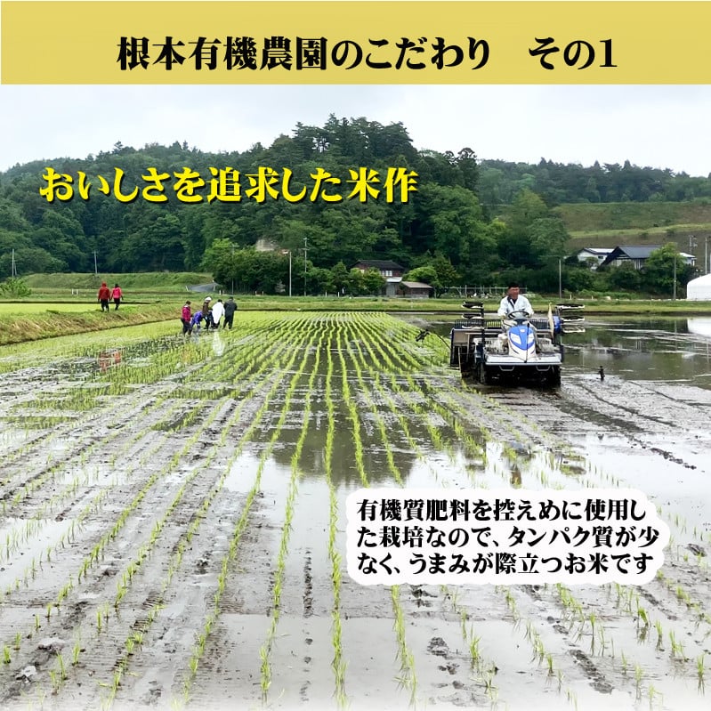 【令和6年産】南相馬・根本有機農園のJAS有機米コシヒカリ2kg（玄米）