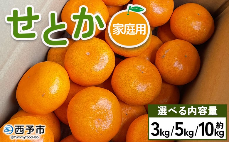 
            せとか 家庭用 約3kg／5kg／10kg 訳あり わけあり 自宅用 果物 フルーツ みかん ミカン 蜜柑 オレンジ 柑橘 セトカ 選べる ジューシー サイズ不揃い 食べて応援 特産品 柑橘園柴田 愛媛県 西予市【常温】『2026年2月下旬～3月中旬迄に順次出荷予定』
          