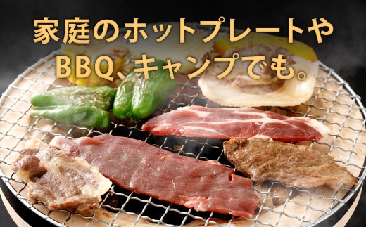 天然イノシシ肉 焼肉用 スライス 約3kg（200g×15）