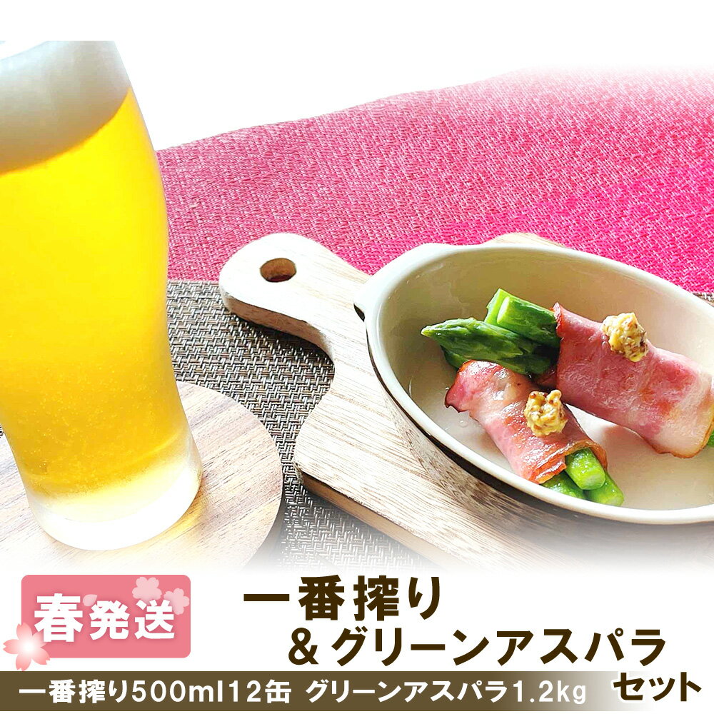 【ふるさと納税】 2026年春発送 キリンラガービール 500ml12缶＆グリーンアスパラ1.2kg 北海道千歳産 野菜 ビール アスパラガス アスパラ 5月中旬〜6月中旬にかけて順次発送 北海道ふるさと納税 千歳市 ふるさと納税【北海道千歳市】ギフト 麒麟 KIRIN